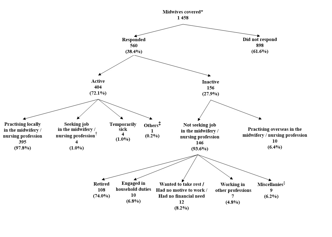 Chart A : Activity Status of Midwives Covered